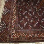 669 5506 CARPET